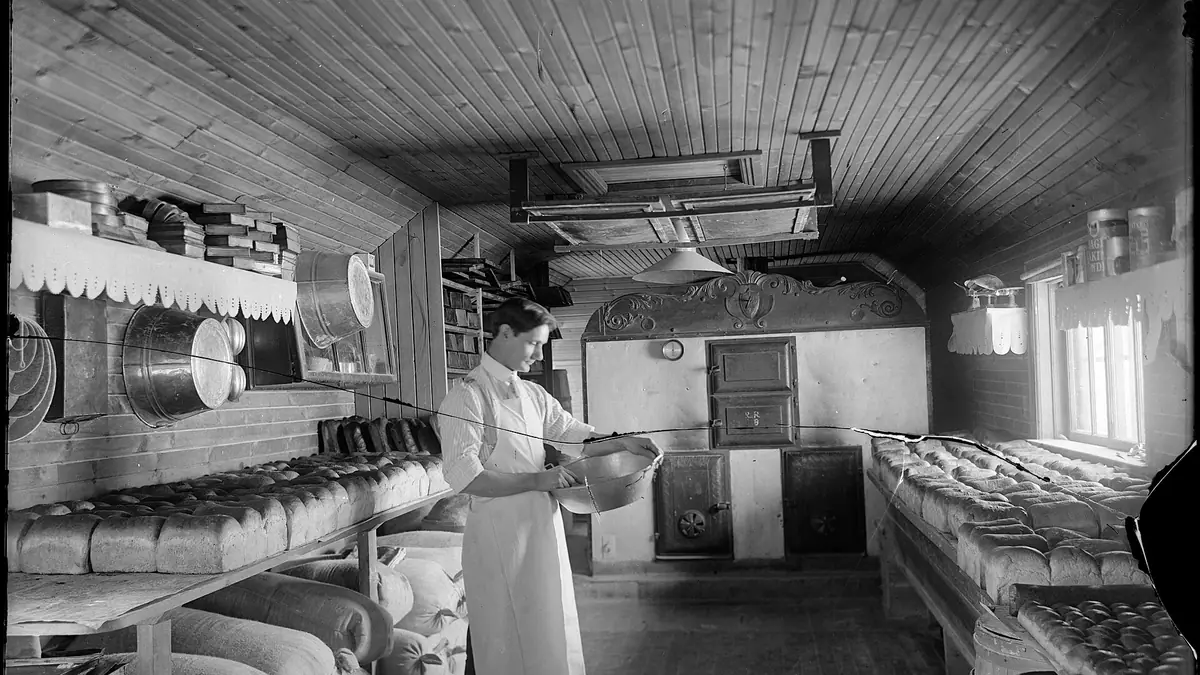 Cake Shop bakes